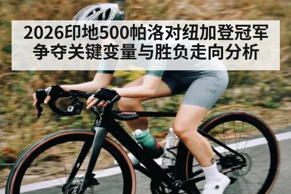 2026印地500帕洛对纽加登冠军争夺关键变量与胜负走向分析